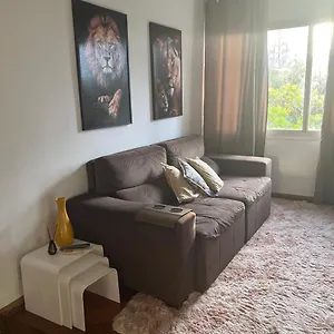 Apartamento Na Barra Da Tijuca 2 Quartos Com Ar Condicionado Apartamento